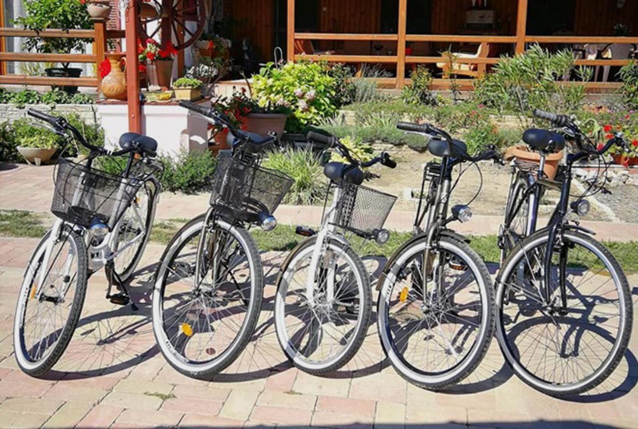 Gemenc Vendeghaz Otel Hercegszanto Dış mekan fotoğraf